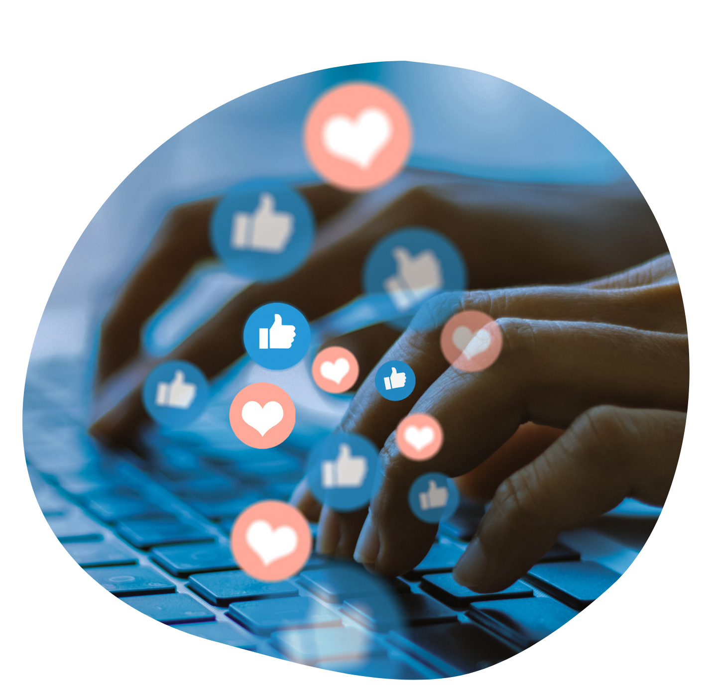 social media Marta Żytkowska